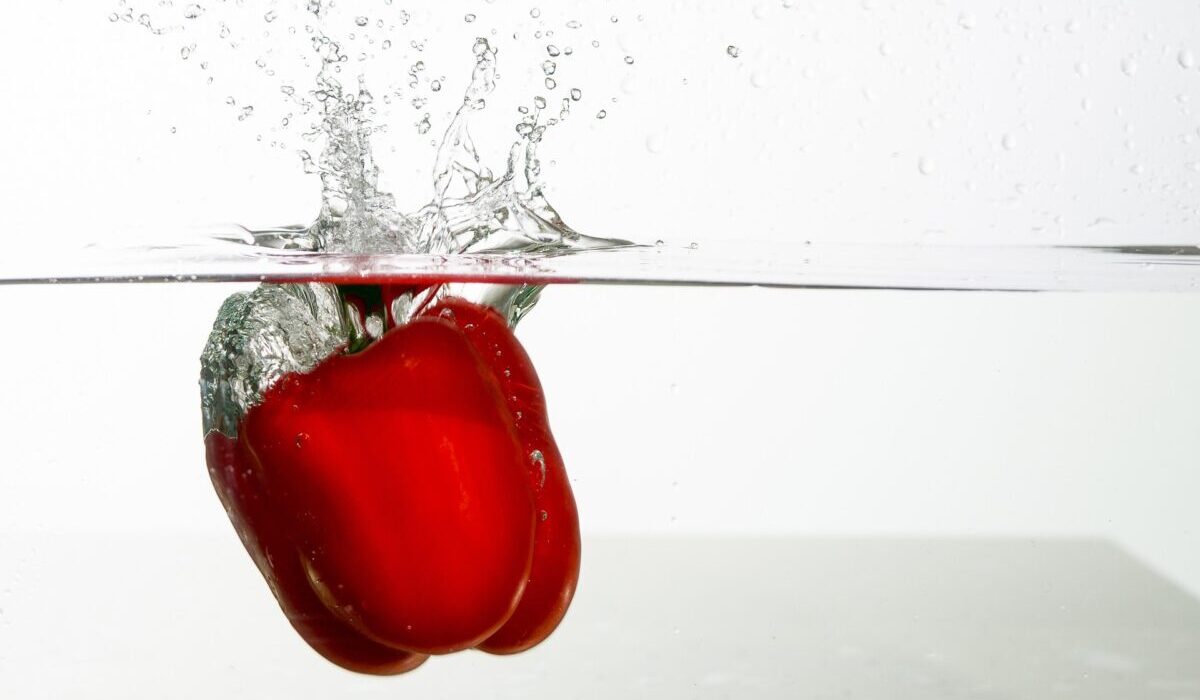 alimentos ricos en agua alimentos ricos en agua